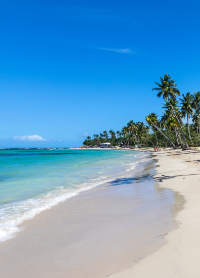 Samaná, República Dominicana: Un Paraíso Natural por Descubrir